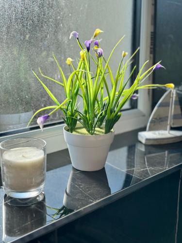 Oxford House | 1 bed with kitchenette and bathroom