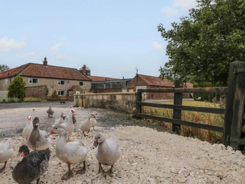 Malton House | Bellmanear Farm Cottage