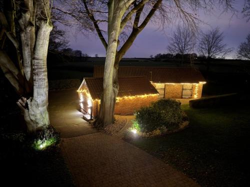 East Ravendale House | Crossways Beech Tree