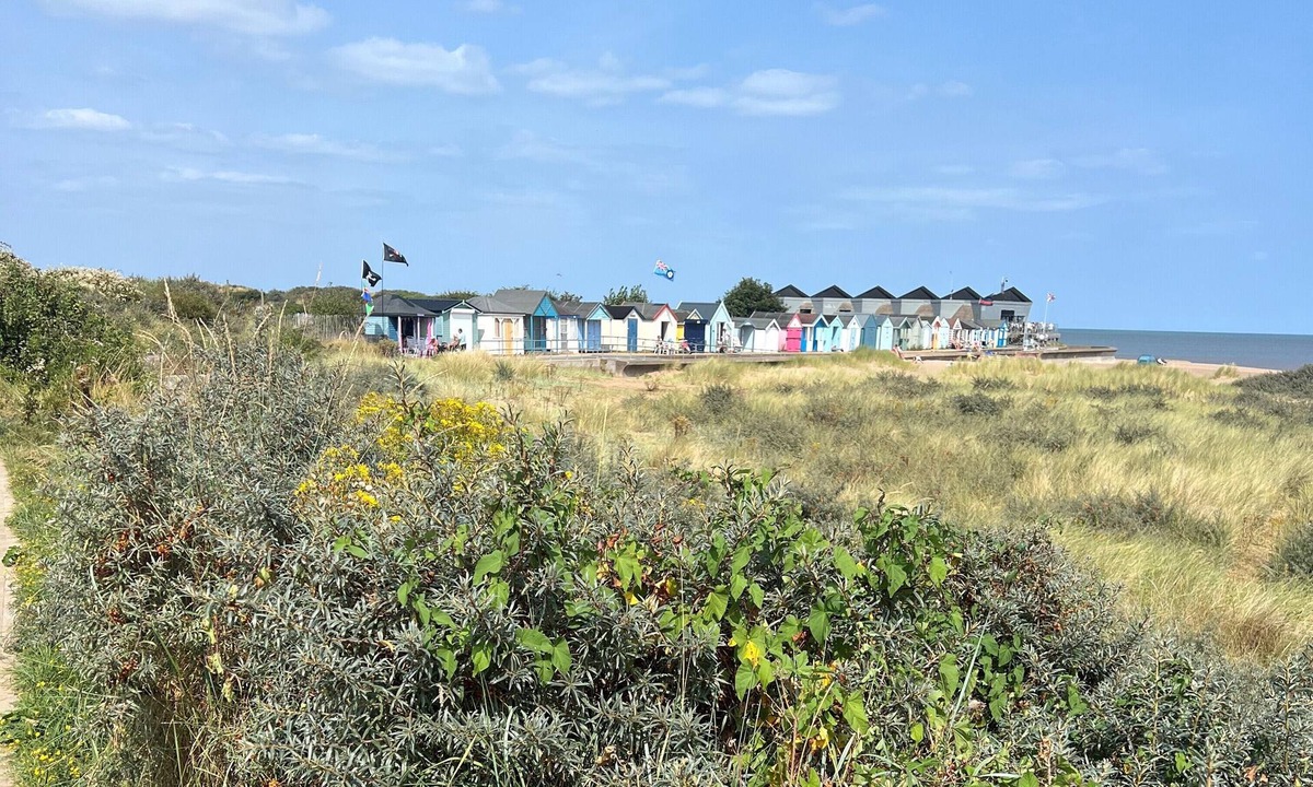 Chapel Saint Leonards Ski Chalet | Cute chalet, close to stunning sandy beach. Well-behaved dogs welcome.