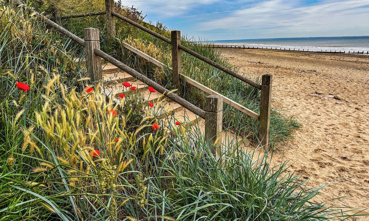 Hornsea Cottage | Flittermouse Barn