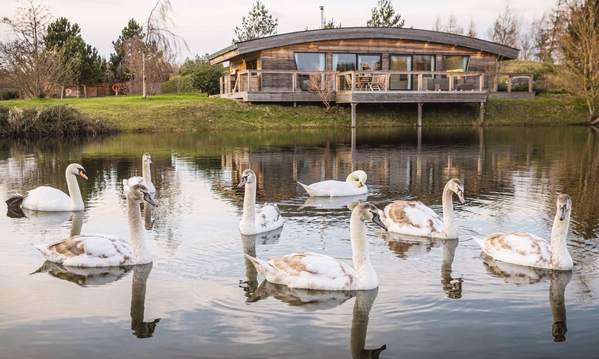Richmond Cottage | Flora - a lodge that sleeps 6 guests in 3 bedrooms
