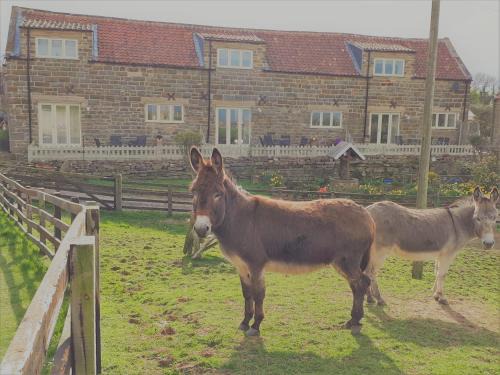 Briggswath House | Meadowbeck Holiday Cottages