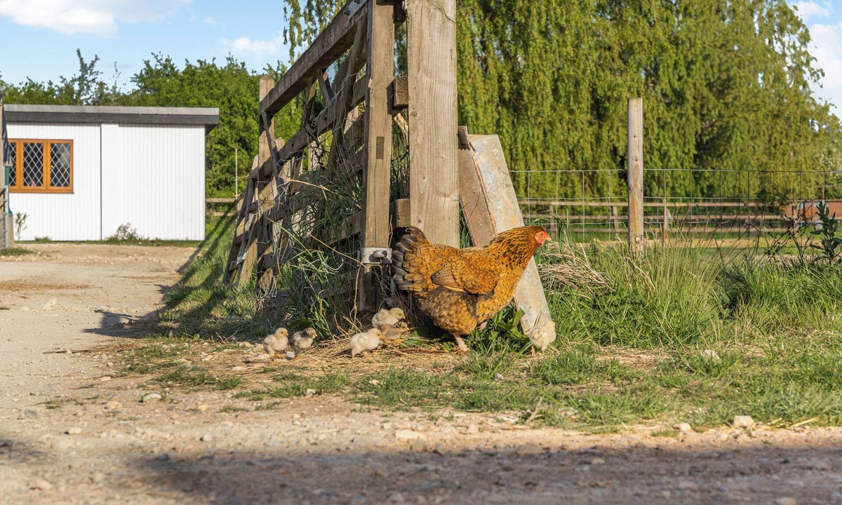 Gawcott Cottage | Rosie's Retreat - Charming Farmhouse Stay