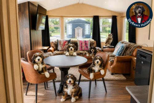 Glentham House | Sheepy Lodge by SkyBears Holidays - Puppy Lounge, Arcades, Games room