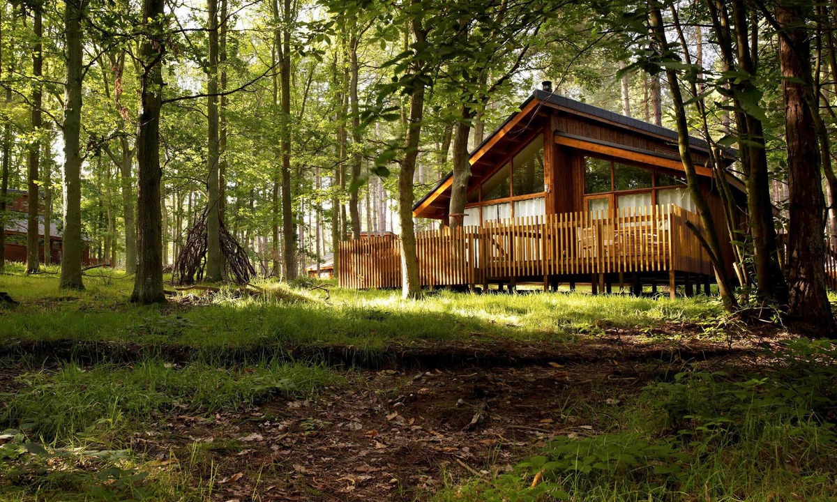 Clipstone Cabin | Sherwood Forest Golden Oak, Edwinstowe