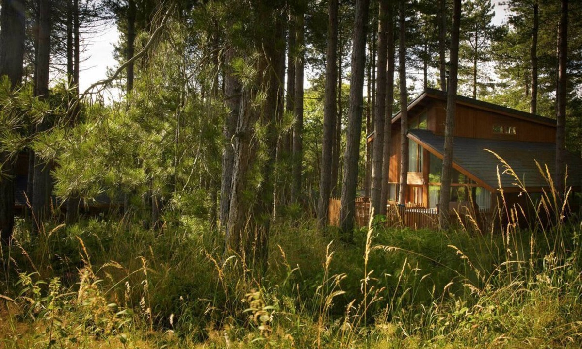Clipstone Cabin | Sherwood Forest Golden Oak, Edwinstowe