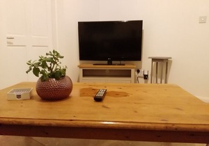 Contemporary Garden Cottage