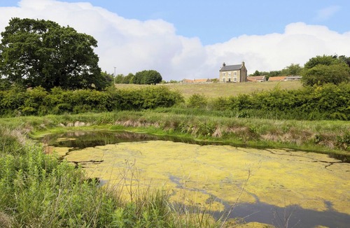Scarborough Cottage | 2 bedroom accommodation in Harwood Dale, near Scarborough