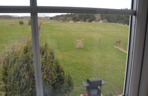 Pickering Cottage | 3 bed cottage Dog/Cat FRIENDLY on site fishing
