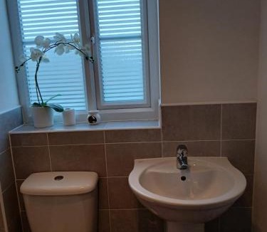 Spalding Apartment | Anchored Homes