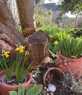 Beccles House | Beehive Cottage