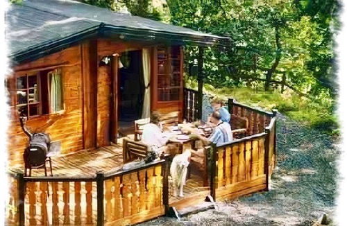 Skelwith Bridge Cabin | Blelham Tarn (Rustic yet modern cabin in tranquil woodland with own EV charger)