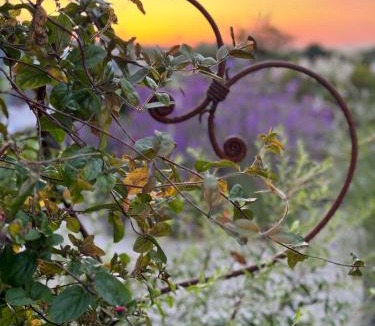 Cropston Bed & Breakfast | Bybrook Barn - The Secret Little B&B, Swithland,Bradgate Park, Leicestershire