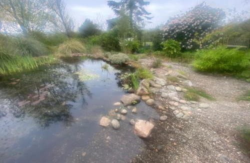 Skelmersdale Bed & Breakfast | Contemporary House with a Woodland Setting