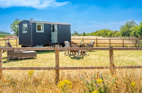 Wells-next-the-Sea Cabin | Dog-friendly glamping hut in the North Norfolk Coast