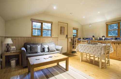 Chilworth Cabin | Five Pines - peaceful & secluded woodland cabin in Surrey Hills