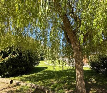 Storwood House | Fox Lodge at Owlet Hideaway - with Hot Tub, Near York