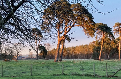 Rillington House | Historic folly in Capability Brown park for family or friends groups