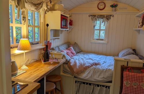 Great Fryup Dale Ski Chalet | Hut In The Glade, Shepherds Hut with Hot Tub