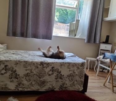 Luton Apartment | Kings Room