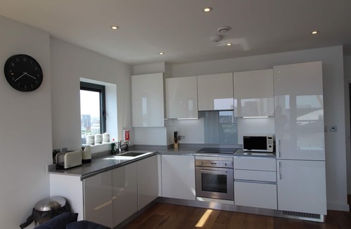Canary Wharf Apartment | Luxury Modern 2 Bed Room 2 bathroom River View Apartment In Canary Wharf