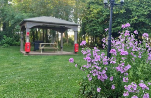 Alford House | Rabbit Lodge Dog friendly nr Anderby Creek