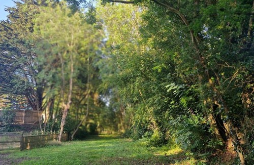 Alford House | Rabbit Lodge Dog friendly nr Anderby Creek