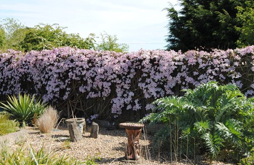 Orston House | Tranquil, rural retreat with outstanding views and gardens.