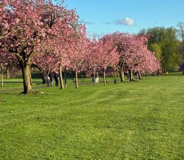Harrogate House | Your Harrogate Stay