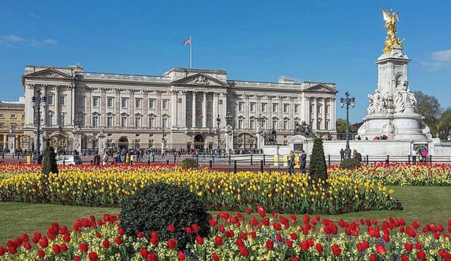 1 Bedroom Apartment Close To Buckingham Palace