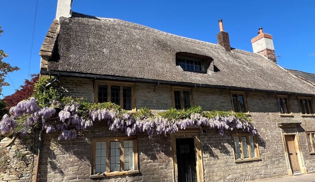 Beech House - Evershot, Dorset in Evershot