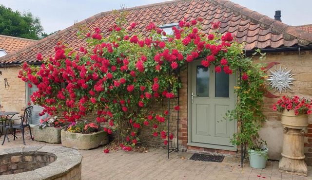 Cosy Studio Cottage