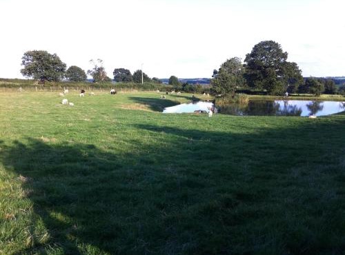 Crich Lane Farm