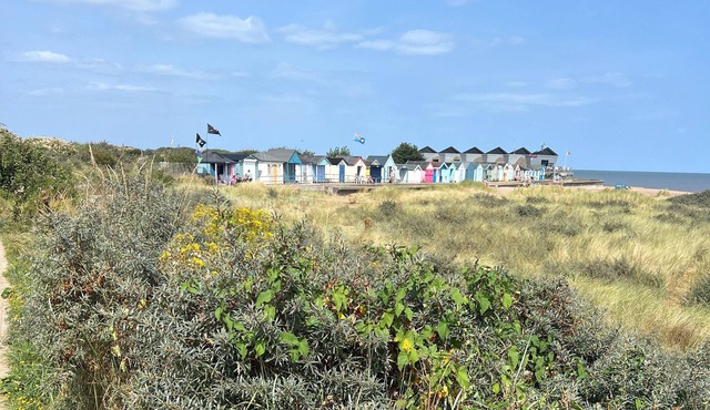 Cute chalet, close to stunning sandy beach. Well-behaved dogs welcome.