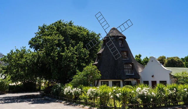De Hollandsche Molen in Hou Moed