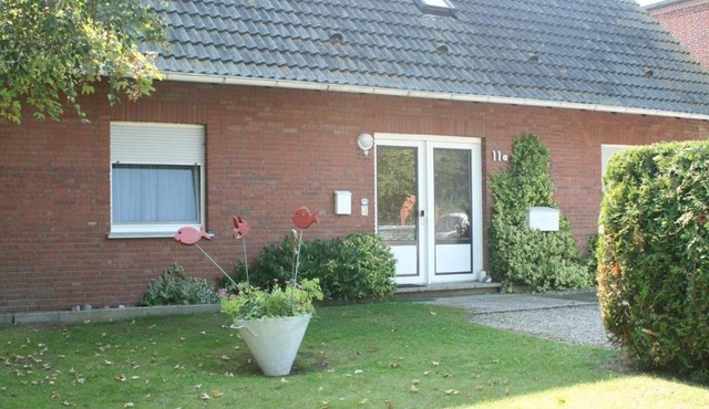 Haus-Turmspucker in Fehmarn