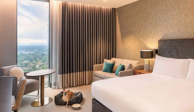 Hilton Woking