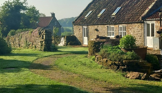 Orchard Cottage - a countryside stone cottage in a peaceful location