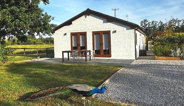 Peacock Barn · Emus, Lake & Firepit · Norfolk