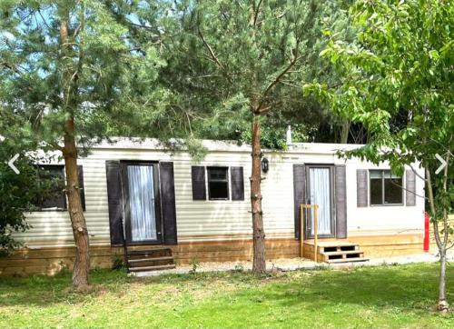 Redwood Cabin 1