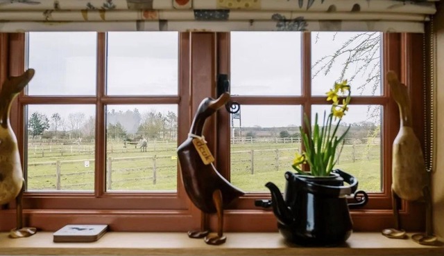 Shepherd's Hut- Hot Tub- Wellness Spa- Wood Burner