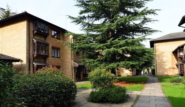 Spacious Flat in Hip Walthamstow! Free, Secure Parking! Close to Transport.