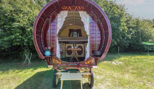 THE BOWTOP GYPSY CARAVAN, pet friendly, with a garden in Thorndon