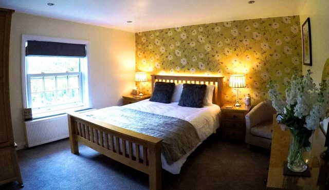 The Vine B & B