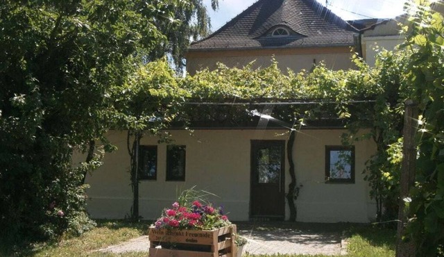Villa Julchen Comfortable holiday residence in Böchingen