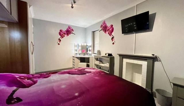 WILLOW RIDGE - a large country house with 3 rental rooms in Bristol