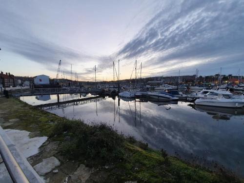 Marina 