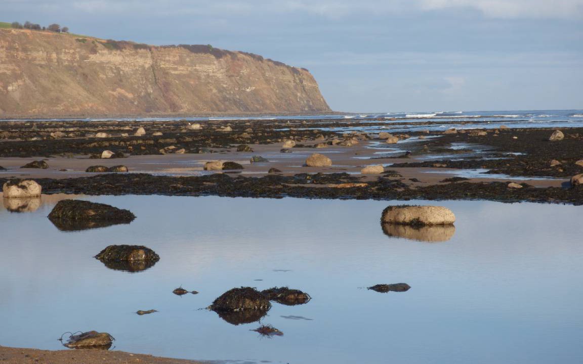 Photo of Others in Robin Hood's Bay