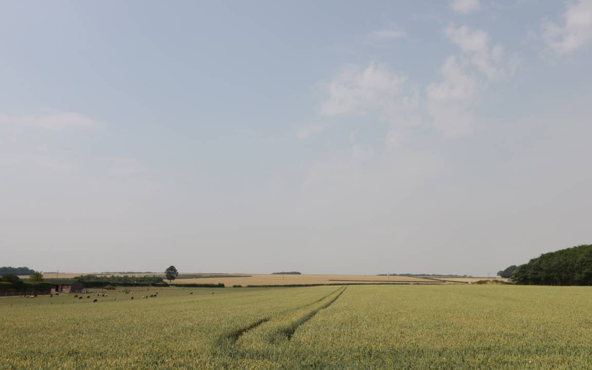 Photo of Others in North Dalton